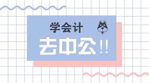 贊 公司建賬必備 會(huì)計(jì)分錄大全