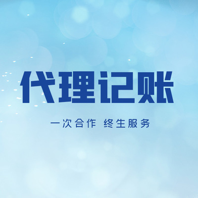 河?xùn)|財(cái)務(wù)公司代理記賬