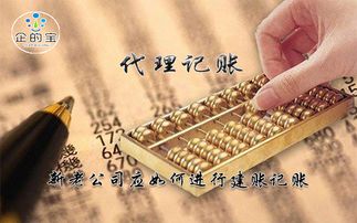代理記賬 新老公司應如何進行建賬